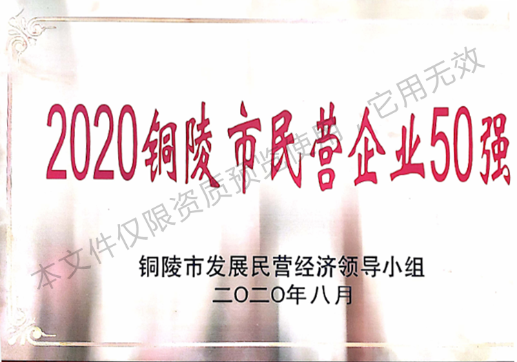 2020銅陵市民營企業50強